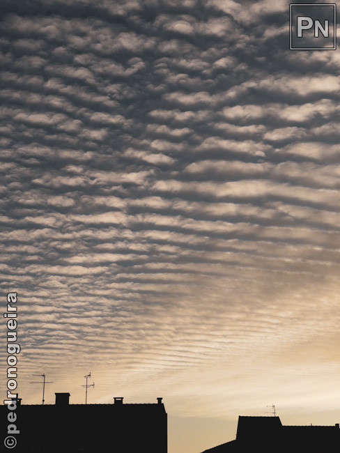 Mar_2021_025b 650px.jpg