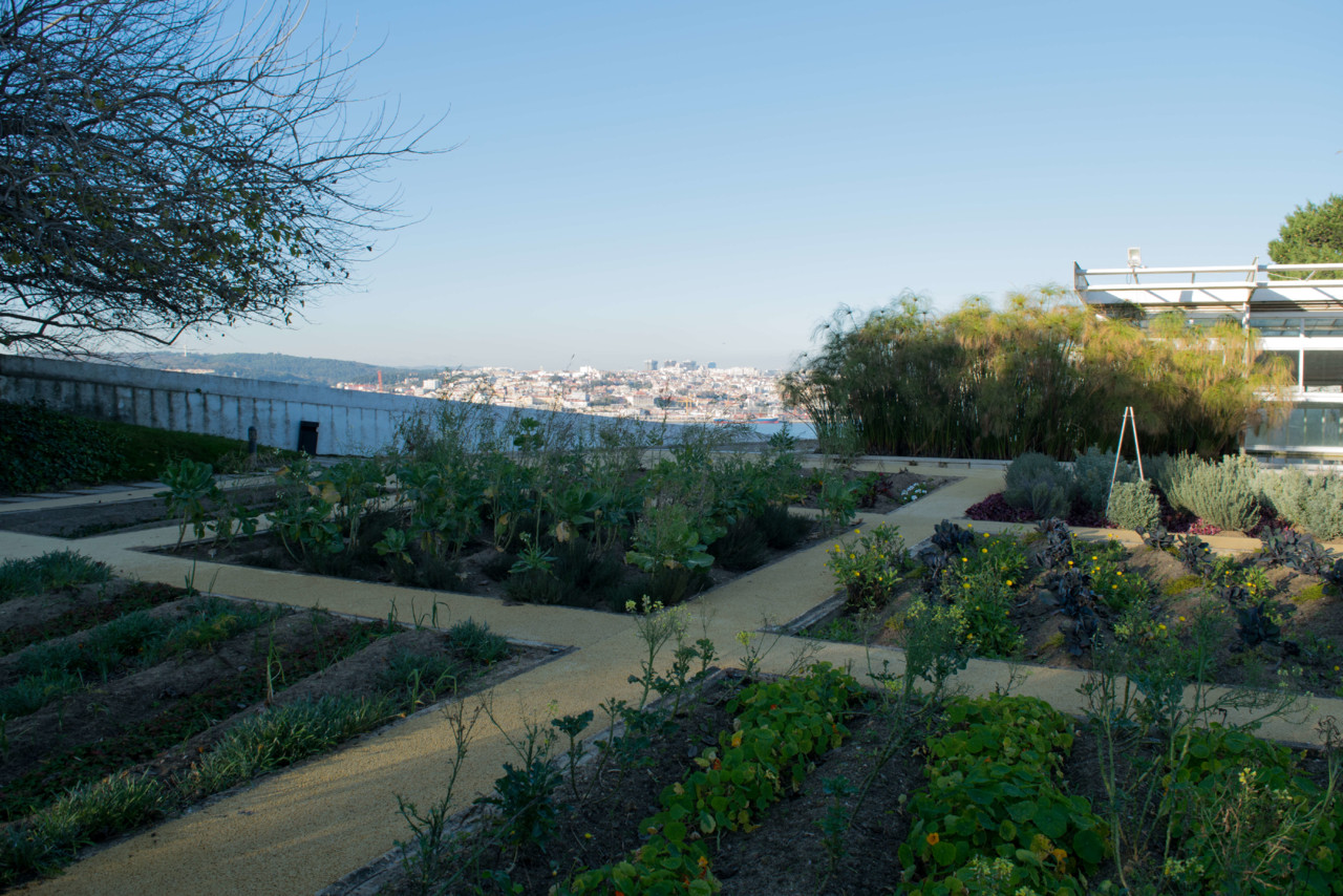 Casa da Cerca, vista para a horta