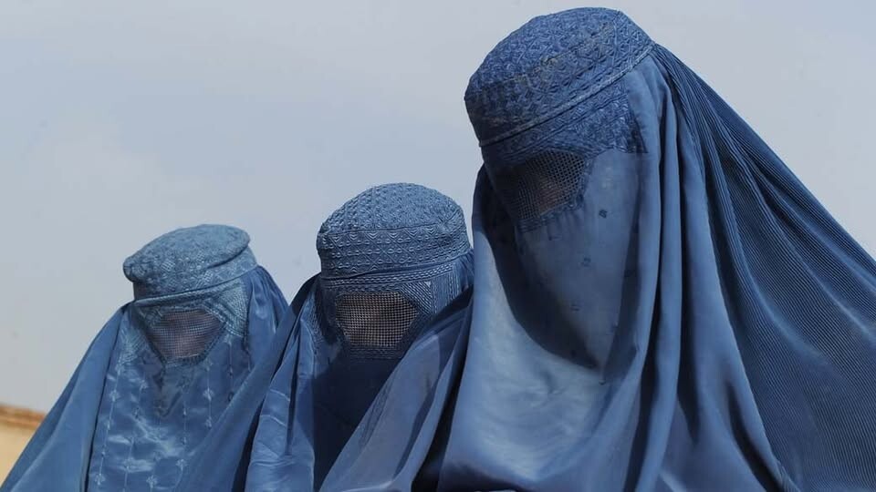 486014149_9396058463815302_5701685715752556489_n.j