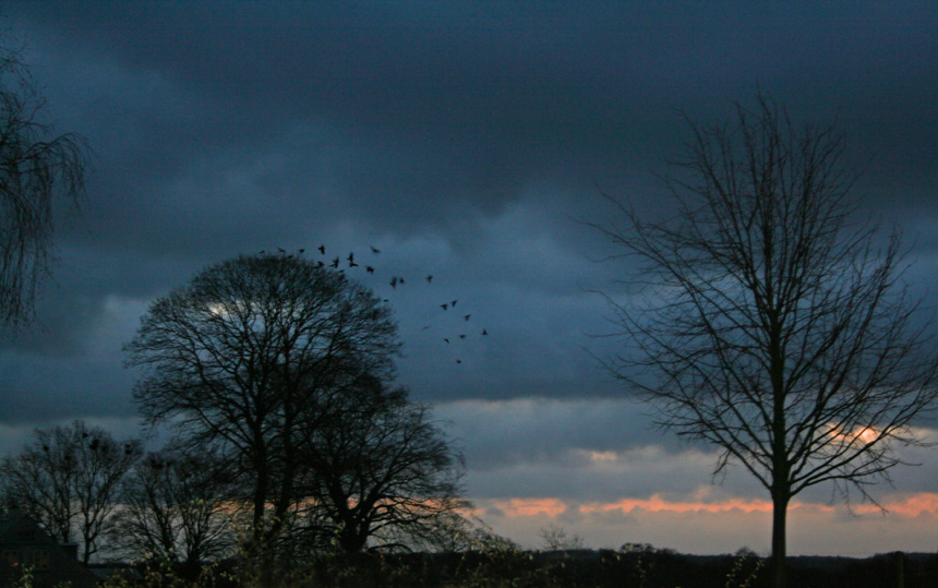 Captura de ecrã 2019-10-31, às 18.06.32.png Captura de ecrã 2019-10-31, às 18.06.32.png