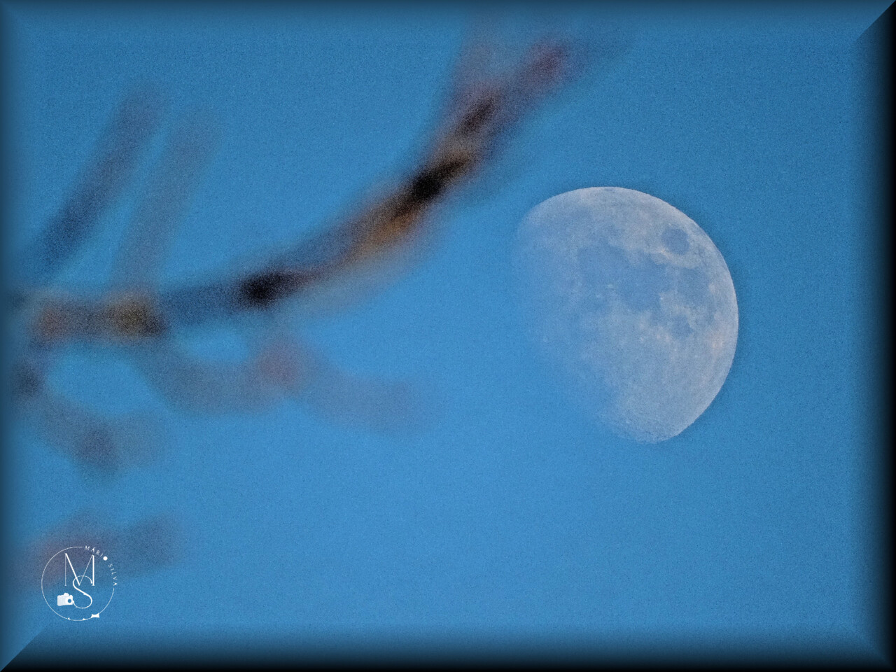 12Dez DSC03136_ms.JPG