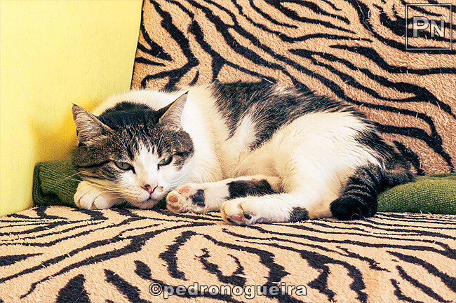 Abr_2023_012 650px.jpg