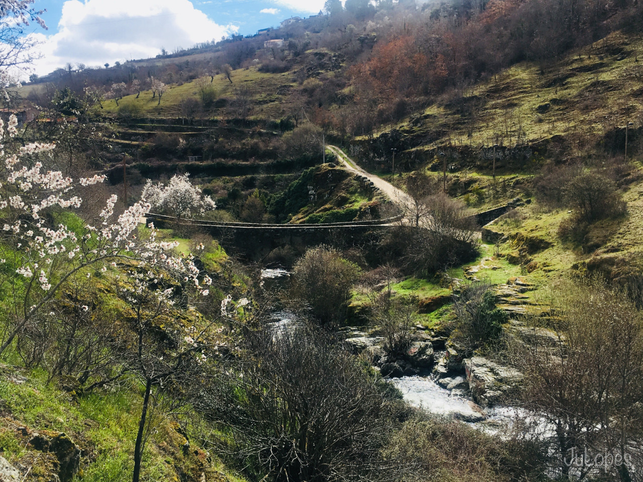 IMG_2486.jpg IMG_2486.jpg