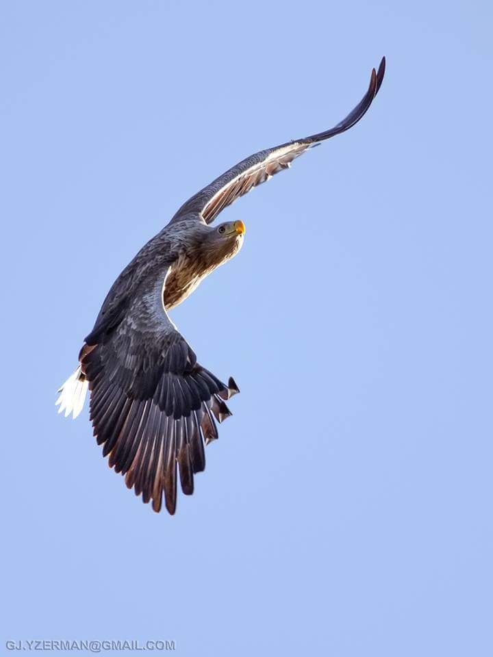 FB_IMG_1438811354002.jpg FB_IMG_1438811354002.jpg