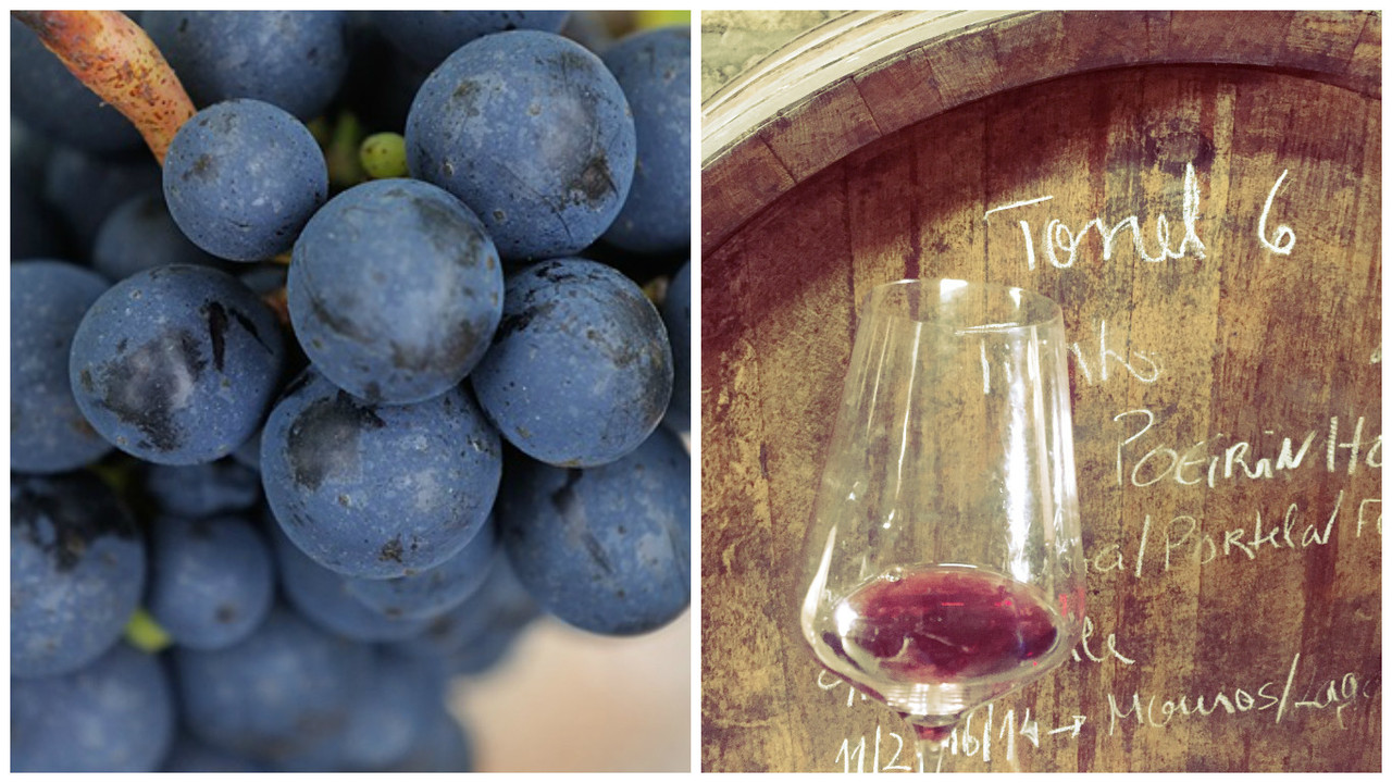 BAIRRADA Vinhos & Sabores 2017