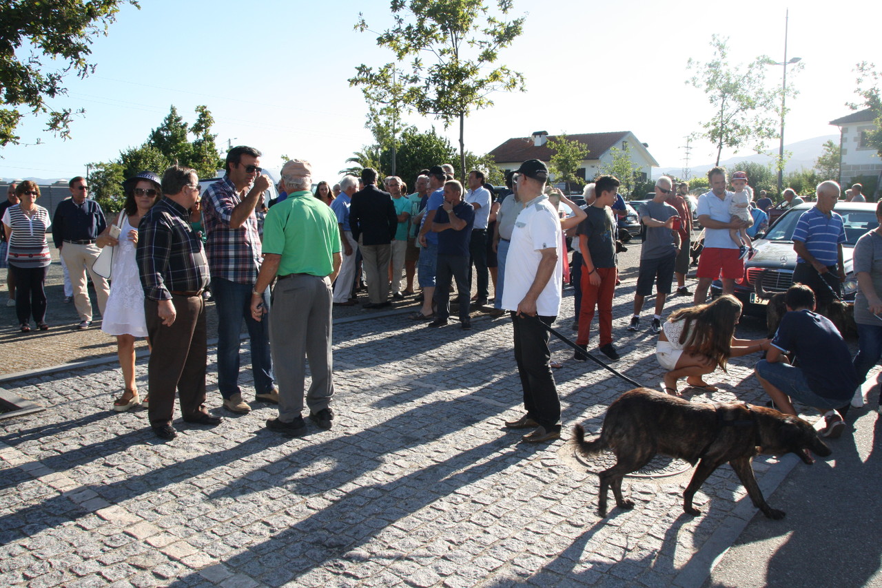 IMG_0715.JPG IMG_0715.JPG