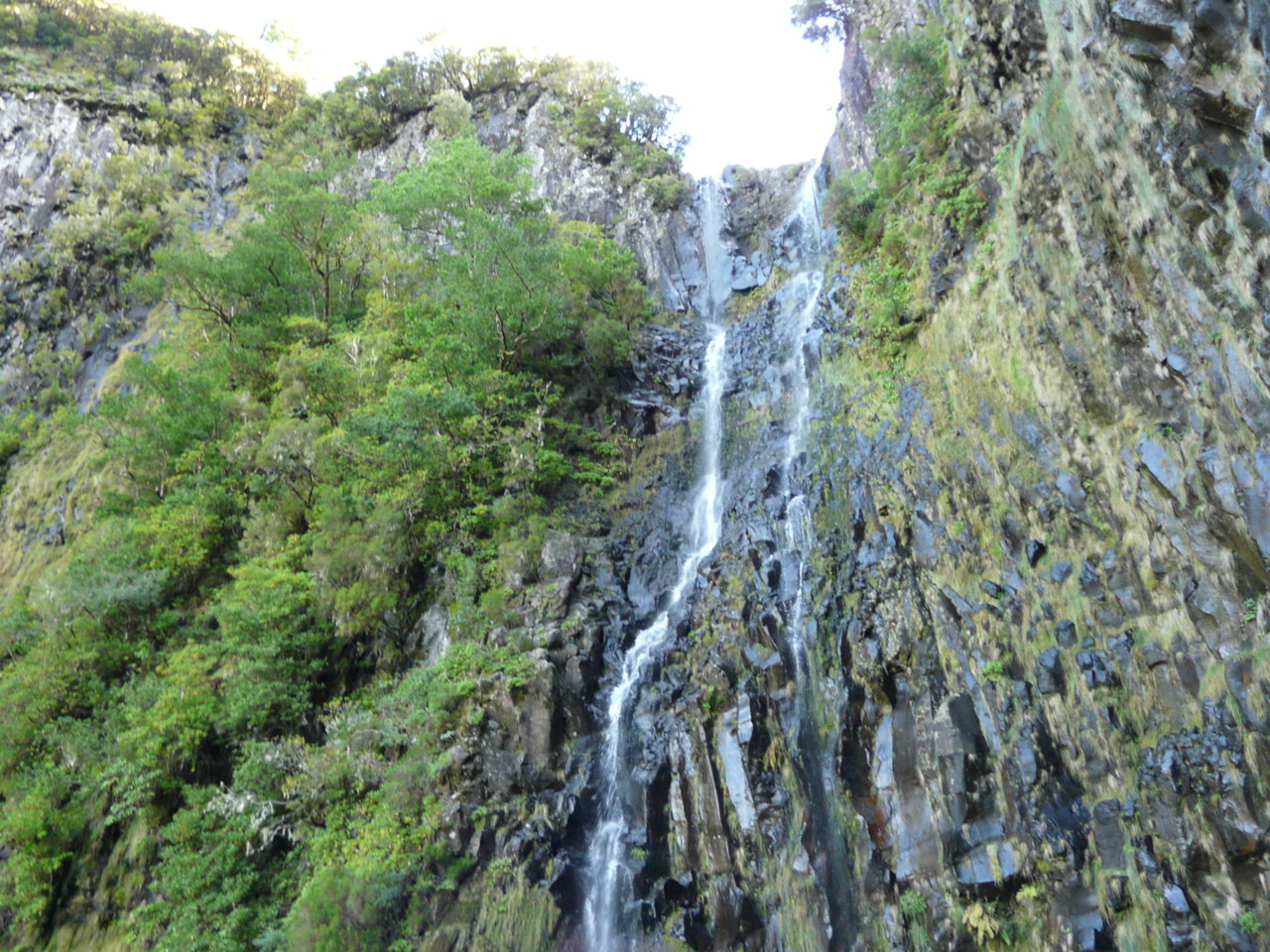 25 Fontes (5).jpg 25 Fontes (5).jpg