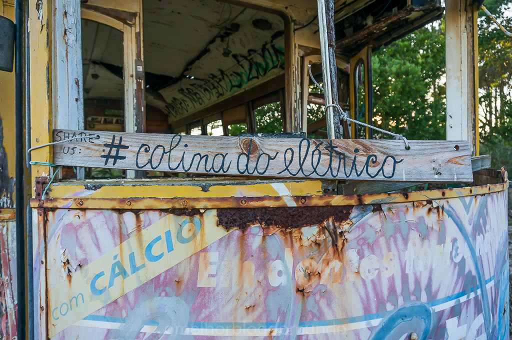 DSC04955.jpg DSC04955.jpg