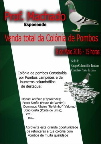 Leilão Prof. Machado.jpg