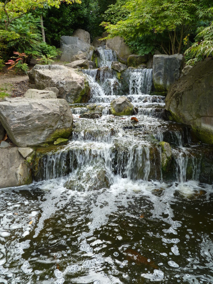Londres-Holland Park-Kyoto Garden (3059).JPG