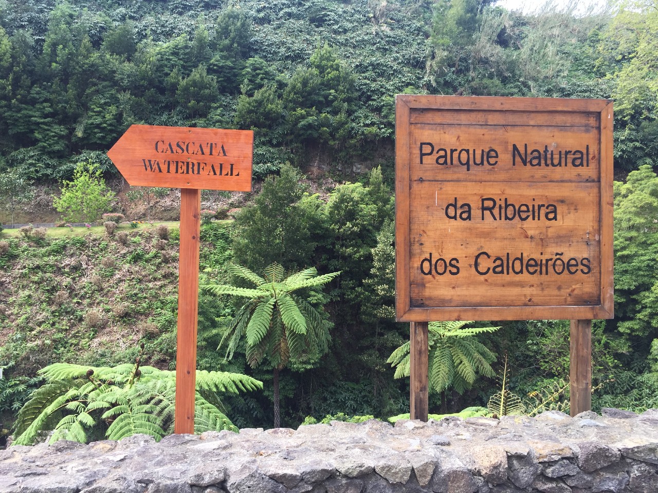 IMG_3975.JPG IMG_3975.JPG