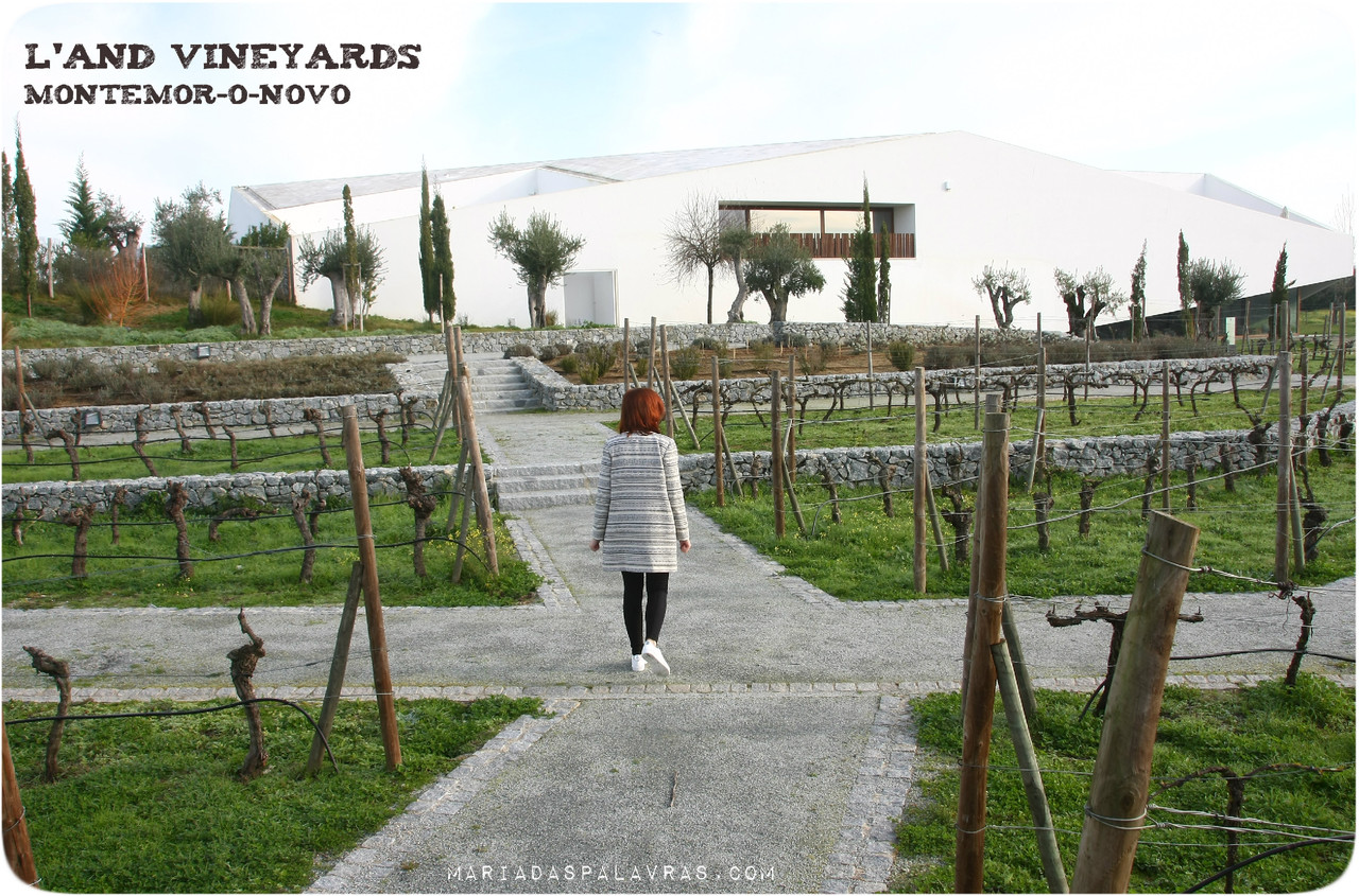 L'AND VINEYARDS - Odisseias | Maria das Palavras.com