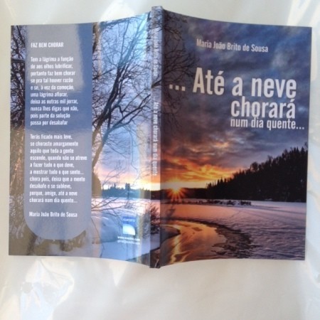 ATÉ A NEVE CHORARÁ NUM DIA QUENTE.jpg