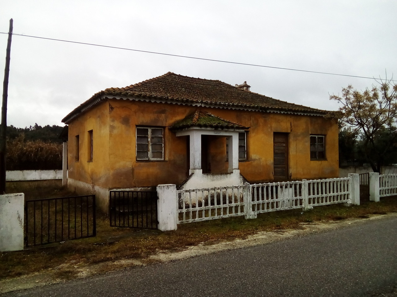 IMG_20190131_104100.jpg IMG_20190131_104100.jpg