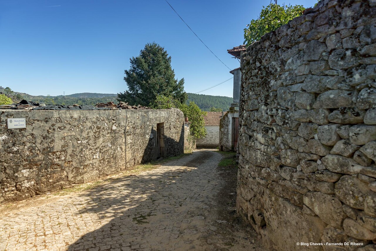 1600-ventuzelos (47).jpg