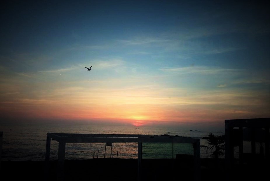 14232643_1069071189845198_7686872302181189117_n.jp