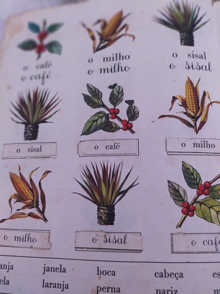 116375720_606665770286227_5294966726862089281_n.jp 116375720_606665770286227_5294966726862089281_n.jp