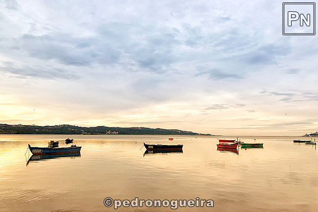 Nov_2020_078a 3_2 650px.jpg