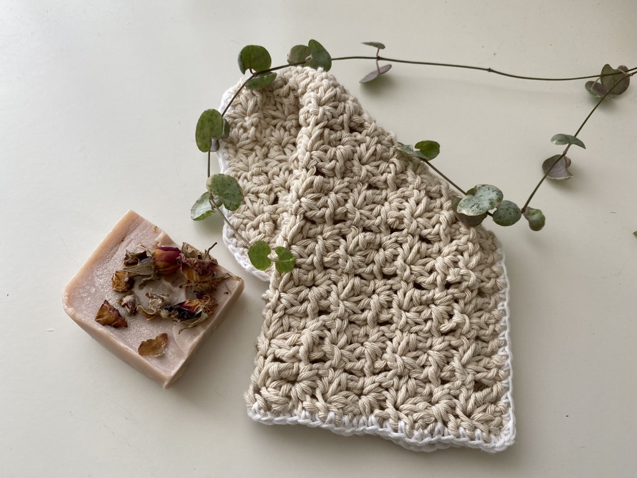 IMG_0496.jpg IMG_0496.jpg