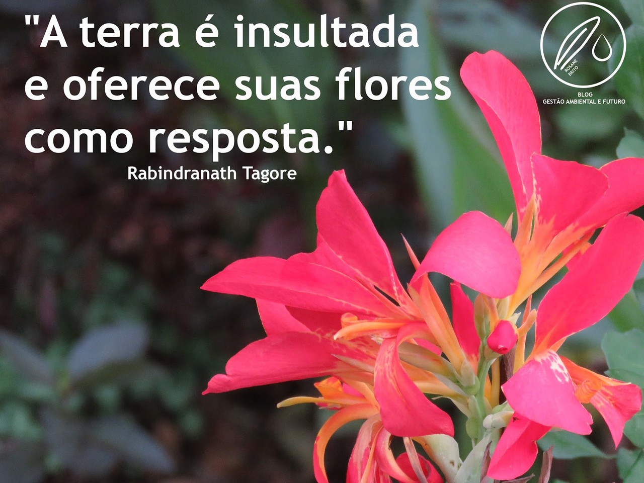 2016 04 08 Rabindranath.jpg