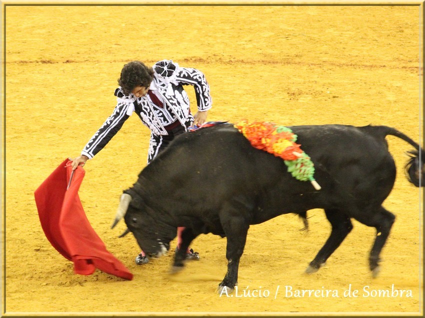 IMG_6667.JPG IMG_6667.JPG