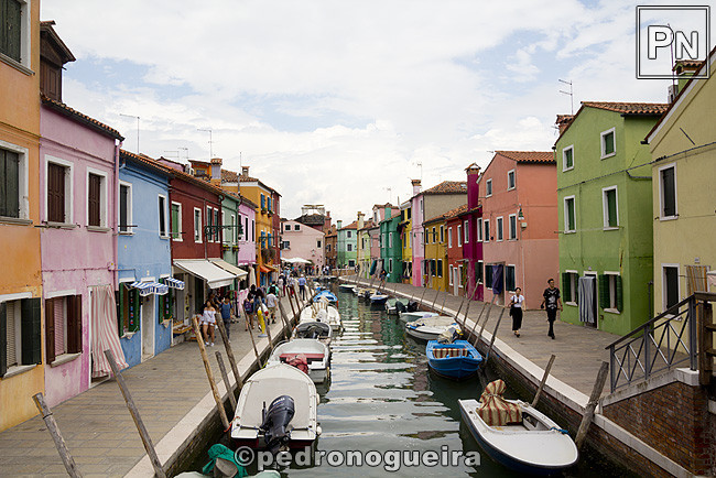 _MG_1162 650px.jpg _MG_1162 650px.jpg