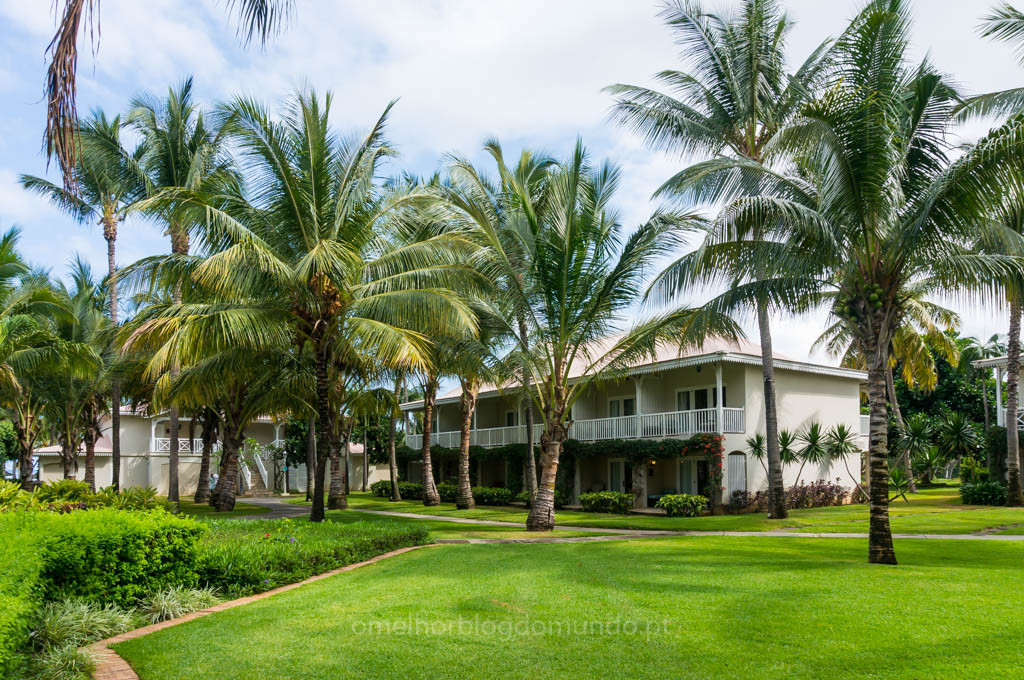 DSC01855.jpg DSC01855.jpg