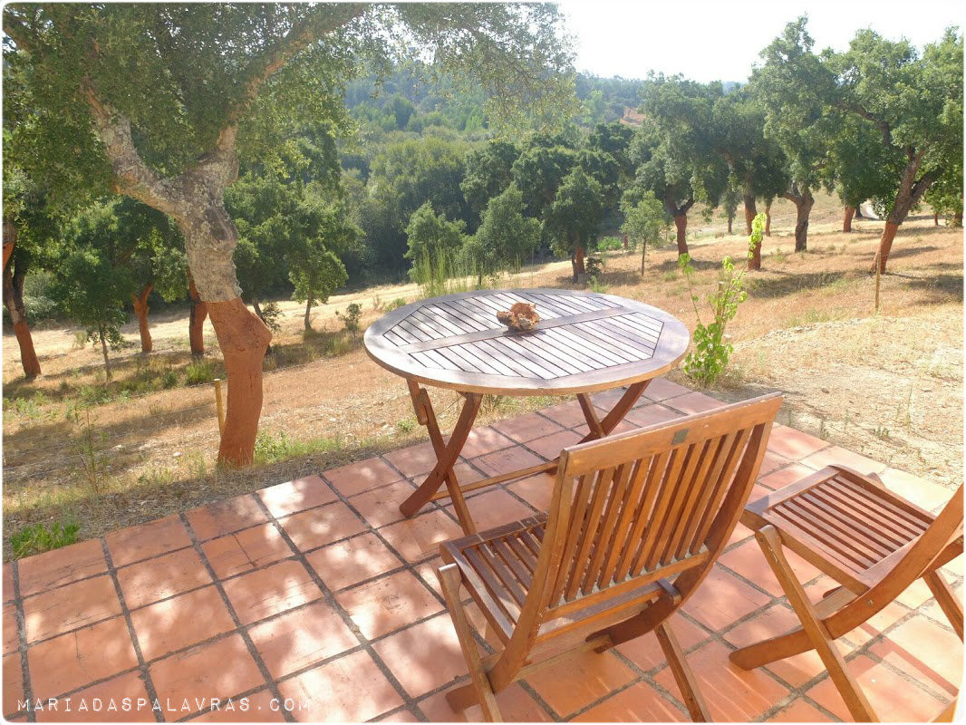 A nossa vista - Herdade da Sanguinheira | Odisseias - Maria das Palavras