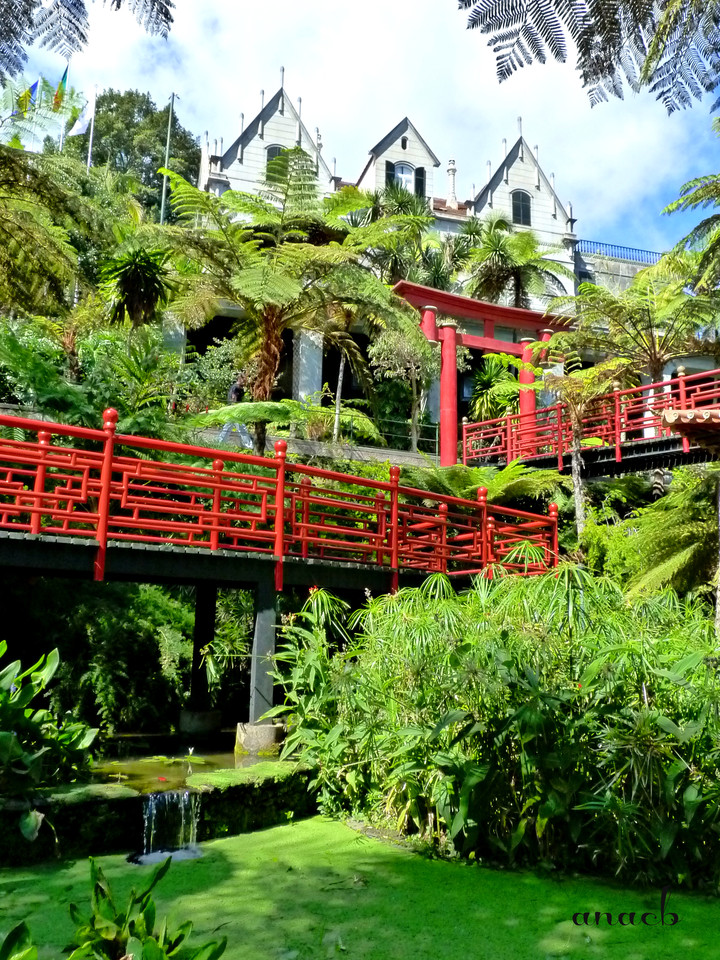 Funchal - Jardins Monte Palace (1167) assin.jpg