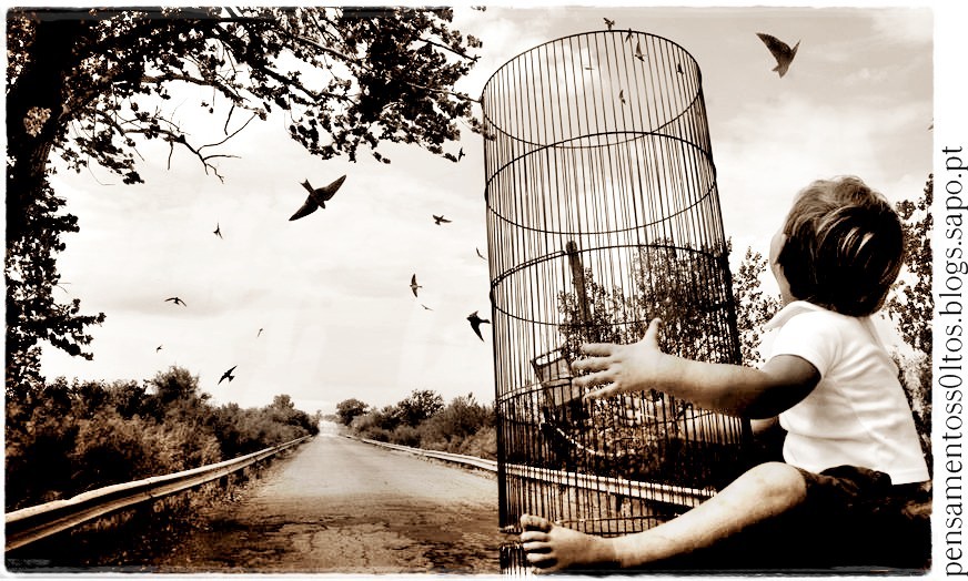 limites delineados.jpg