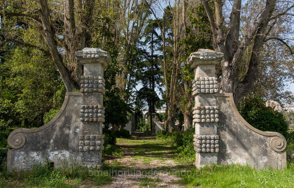 _DSC5887.jpg _DSC5887.jpg