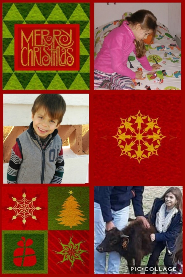 Collage 2018-12-08 14_00_37.jpg