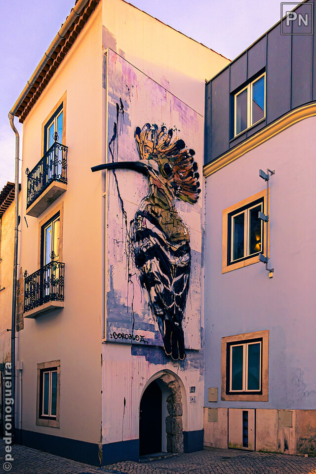 Mar_2023_002 650px.jpg