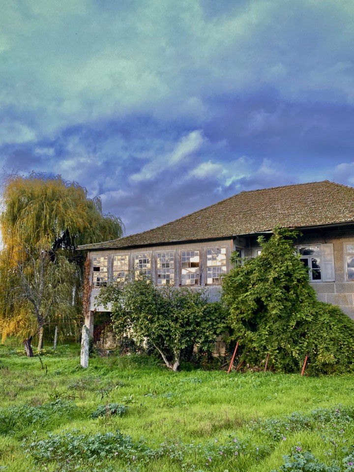 IMG_3141 - cópia.jpg IMG_3141 - cópia.jpg