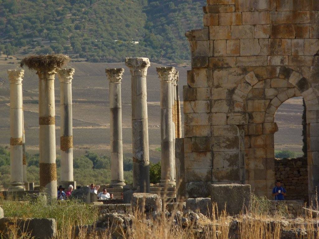 Volubilis (23).jpg