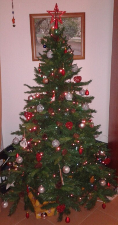 2016-11-29 06.59.47.jpg