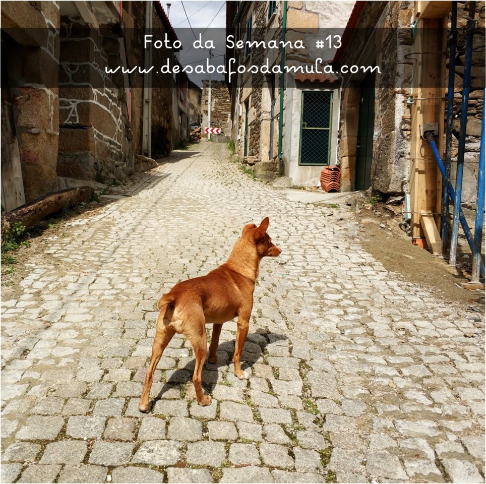 1522667552165.jpg 1522667552165.jpg