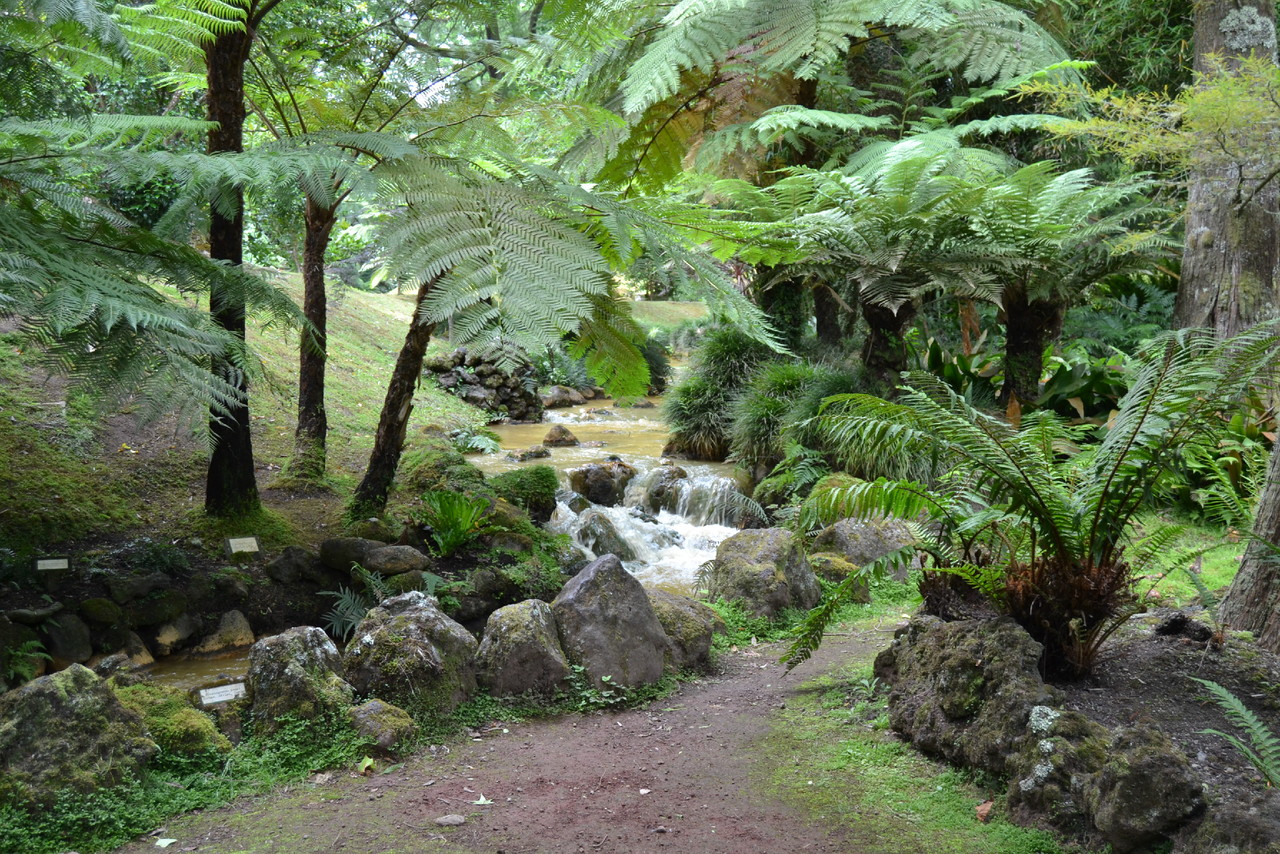 DSC_0218.JPG DSC_0218.JPG