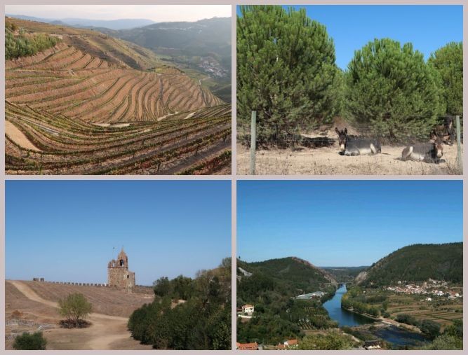 ferias 3.JPG ferias 3.JPG