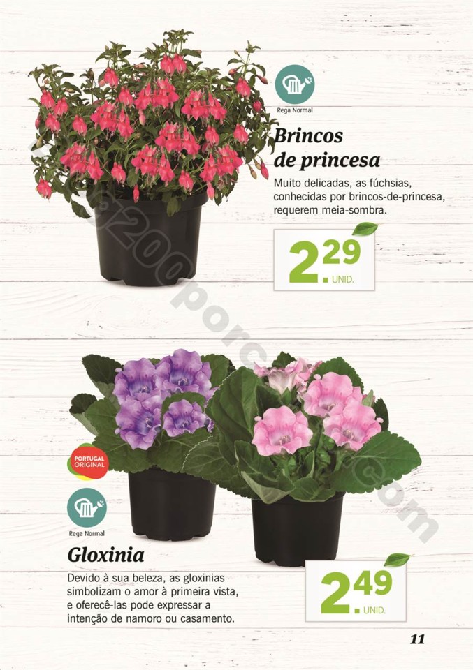plantas_lidl_mercado_010.jpg
