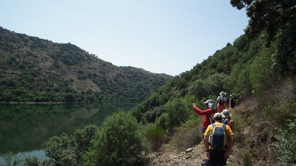 38512030_2271809409527826_8021693934654717952_n.jp