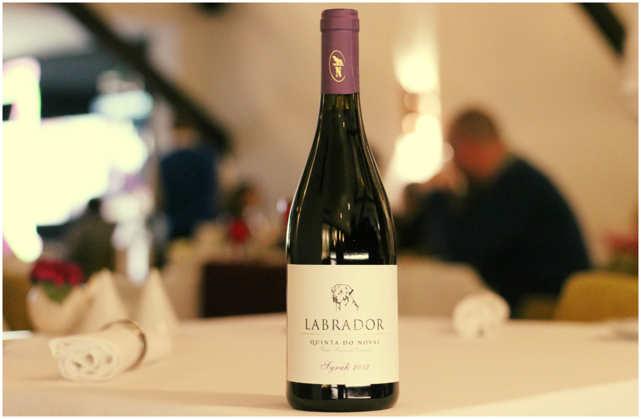 Sal Poente & Moliceiro