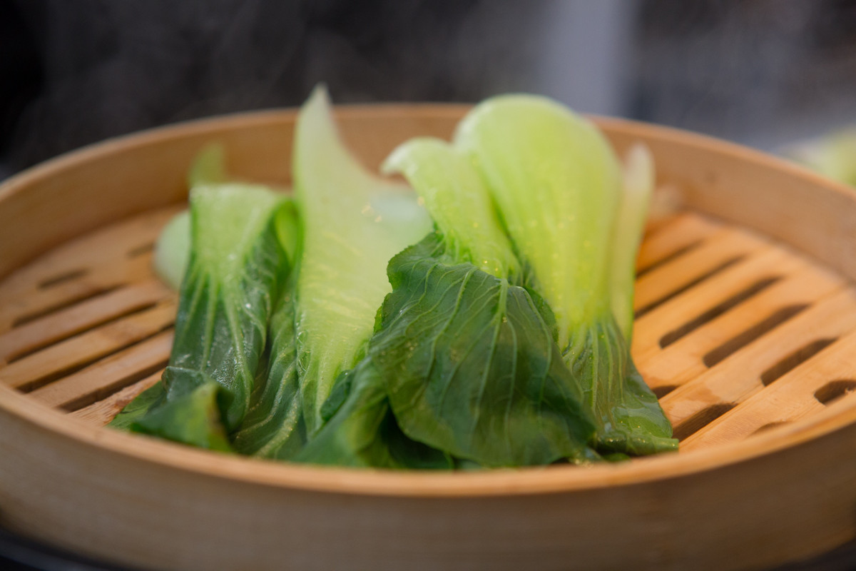 7E3C9864.jpg 7E3C9864.jpg