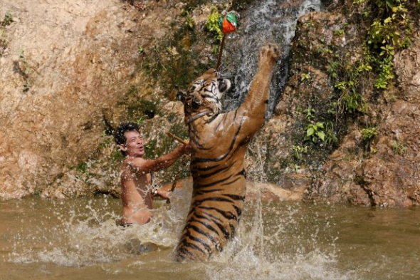 Screenshot 2016-06-01 at 10.40.46.png