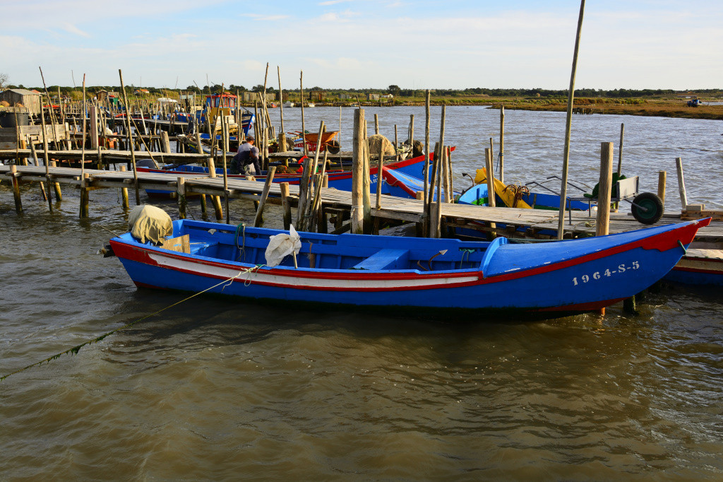 DSC_2915_01_00009.jpg DSC_2915_01_00009.jpg