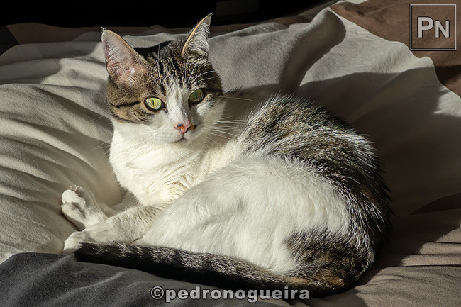 Jan_2022_004 650px.jpg