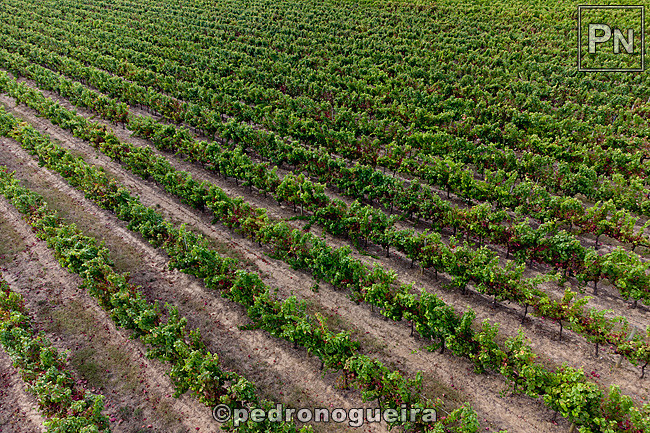 M2_Set_2021 022 650px.jpg