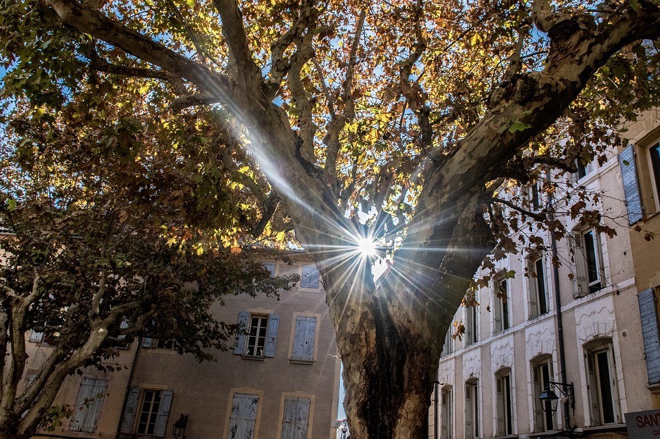 raios de sol.jpg raios de sol.jpg