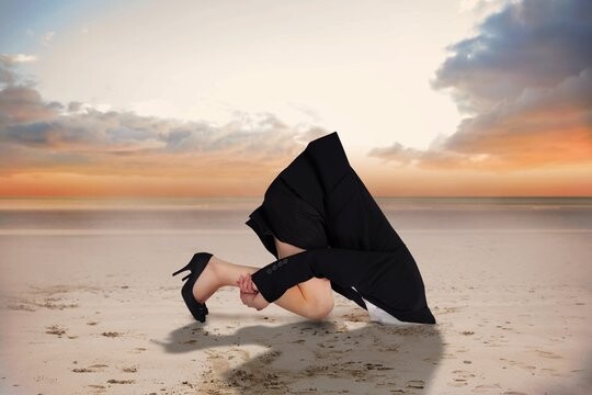 360_F_66380180_gI0U3LNWKjmcmlttW8CRYjSm1WEE1GWX.jp