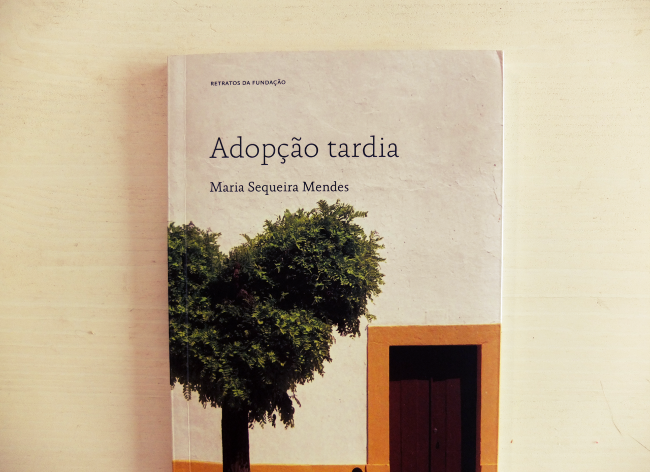 adopção-tardia-mar-maio.png adopção-tardia-mar-maio.png